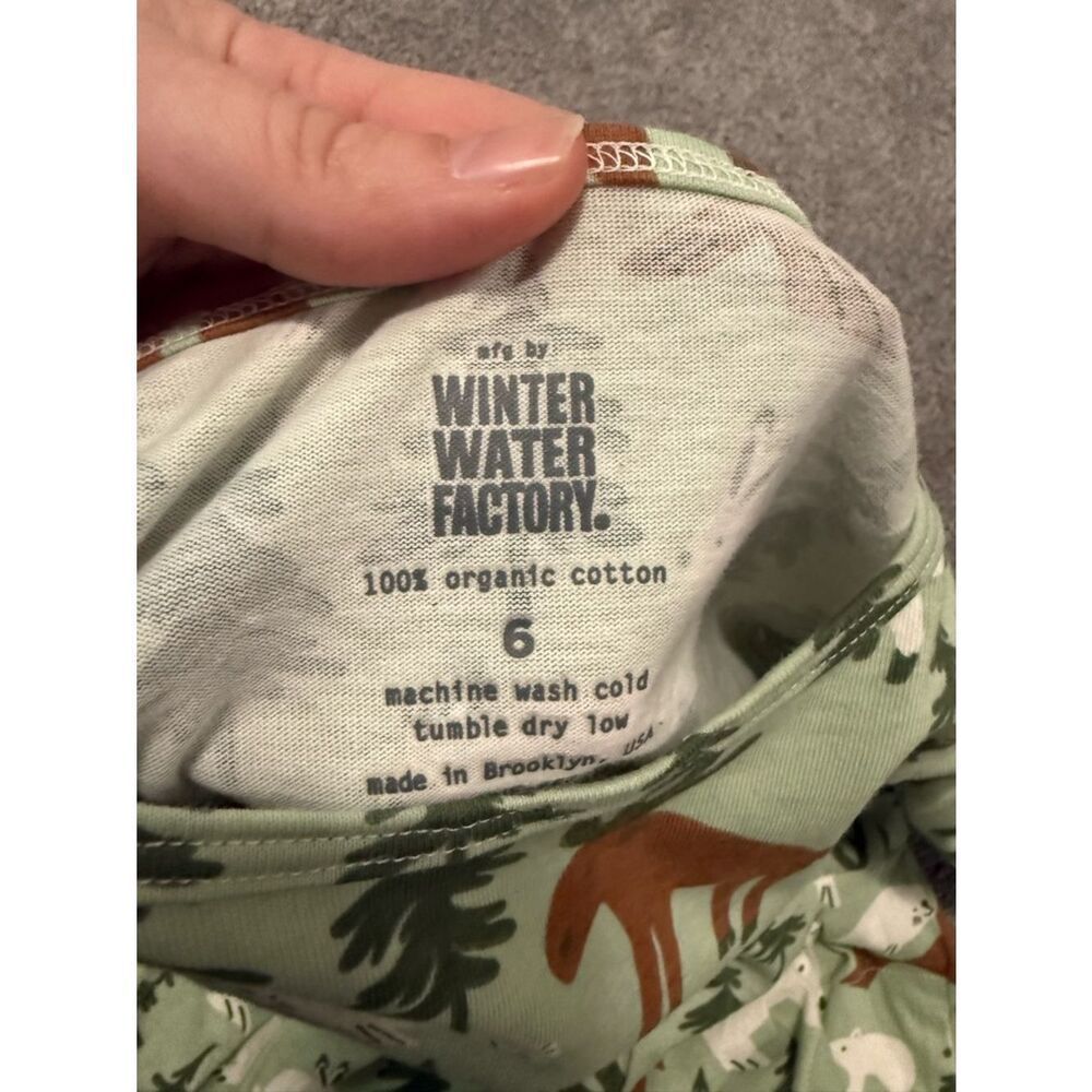 Winter Water Factory Green Woodland Forest Print Dress Sz 6 — image 4 of 4